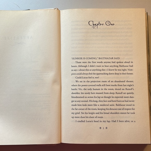 🌈2/$8 Afterlife - Picture 9 of 12